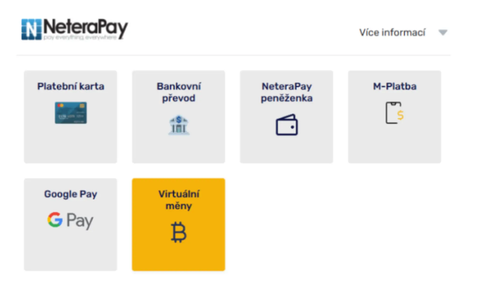 NeteraPay — způsoby platby (karta, převod, peněženka, M-Platba, Google Pay, virtuální měny). Rozhraní NeteraPay s výběrem způsobů platby: Platební karta, Bankovní převod, NeteraPay peněženka, M-Platba, Google Pay a Virtuální měny.